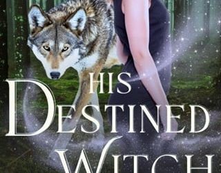 his destined witch lucy piper