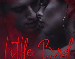 little bird taylor jade