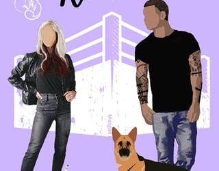 love's rematch meagan rogers