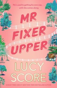 mr fixer upper, lucy score