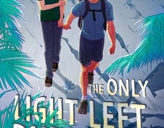 only light erik j brown