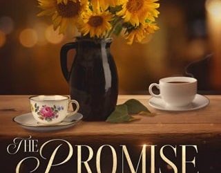 promie effect la lambert