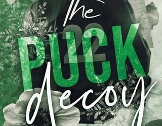 puck decoy gn wright