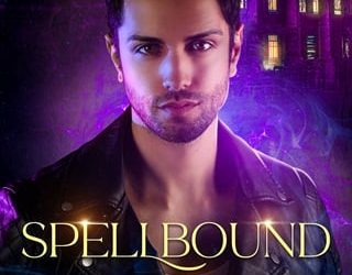 spellbound by you fel fern
