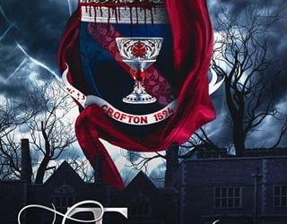 subterfuge rebecca cohen