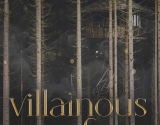 villainous fate amanda nichole