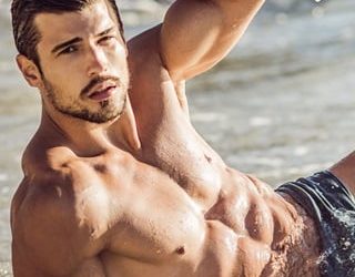 wild hearts nando gray