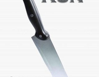 cut run abigail roux