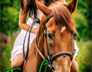 irish getaway carol wyatt