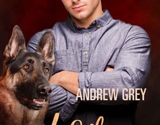 love first swiper andrew grey