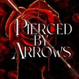 pierced arrows allie stern