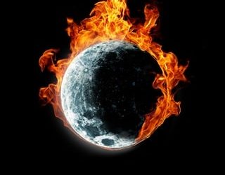 tidal creatures seanan mcguire