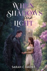 when sahdows seek light, sarah c davies