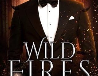 wild fires julie trettel