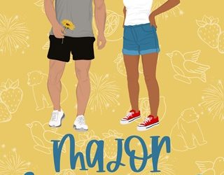 major fireworks br goodwin