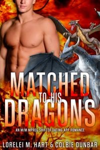 matched dragons, lorelei m hart