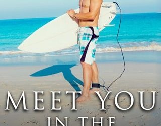 meet you aria brennan