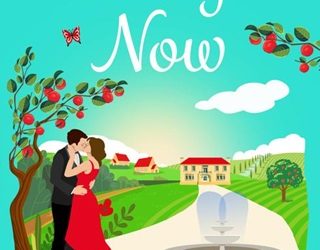 mr right now mandy baggot