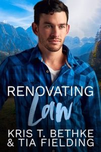 renovating law, kris t bethke
