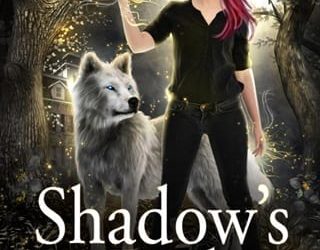 shadow's end keri arthur