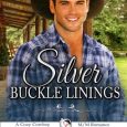 silver buckle linings ba tortuga