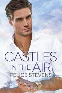 castles in air, felice stevens