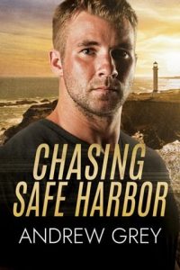 chasing safe harbor, andrew grey
