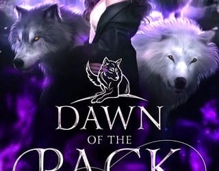 dawn of pack laurel night