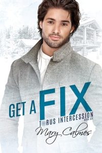 get a fix, mary calmes