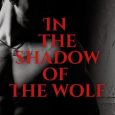 in shadow wolf ba stretke