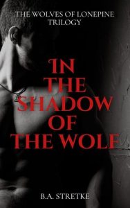 in shadow wolf, ba stretke