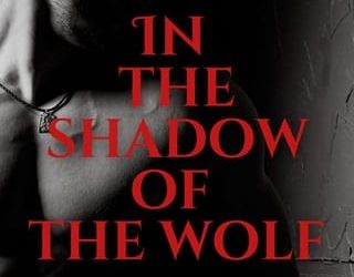 in shadow wolf ba stretke