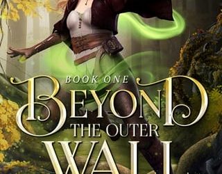 beyond outer wall lichelle slater