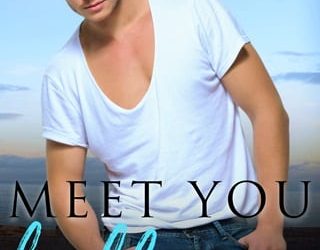 meet you half aria brennan