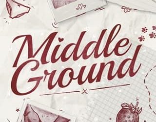 middle ground bobbi maclaren