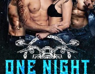 one night bikers nikki landis