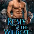 remy wildcat re butler