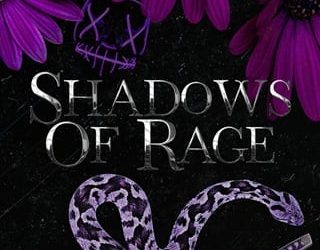 shadows of rage adeline storm