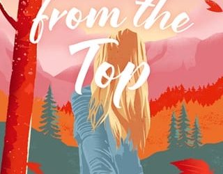 view from top rachel lacey