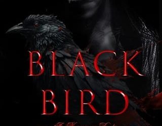 black bird hb elliott