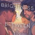 brightness between us eliot schrefer