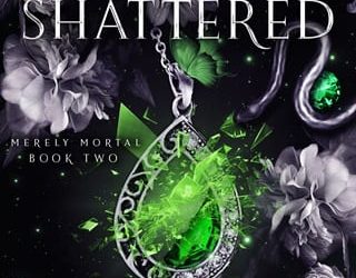 mostly shattered michelle m pillow