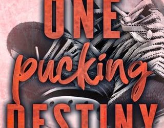 one pucking destiny ellie wade