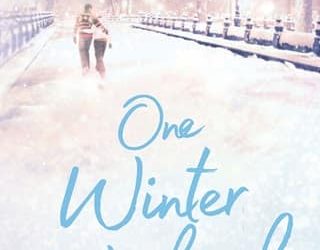 one winter melissa hill