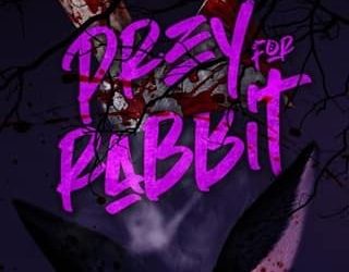 prey for rabbit aiden pierce