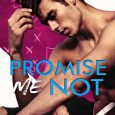 promise me not meagan brandy