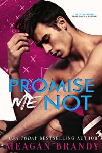 promise me not, meagan brandy