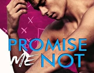 promise me not meagan brandy