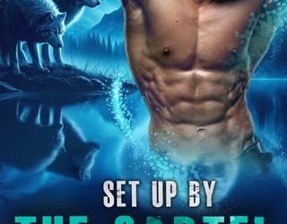 set up cartel michael levi