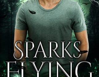 sparks flying julie trettel